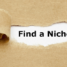 ما هو النيتش و كيفية تحديد و اختيار النيتش المناسب Niches